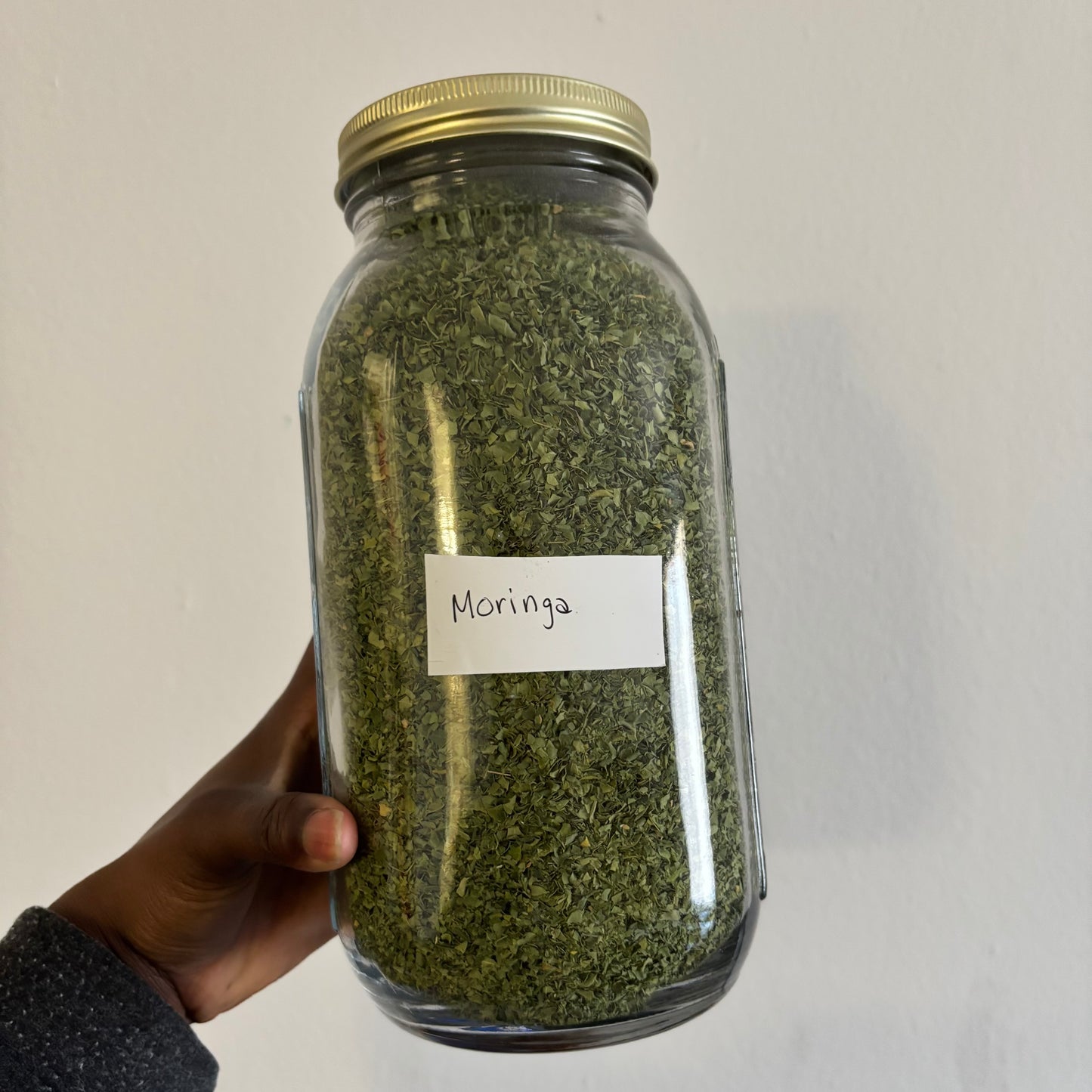 Moringa | bulk herb