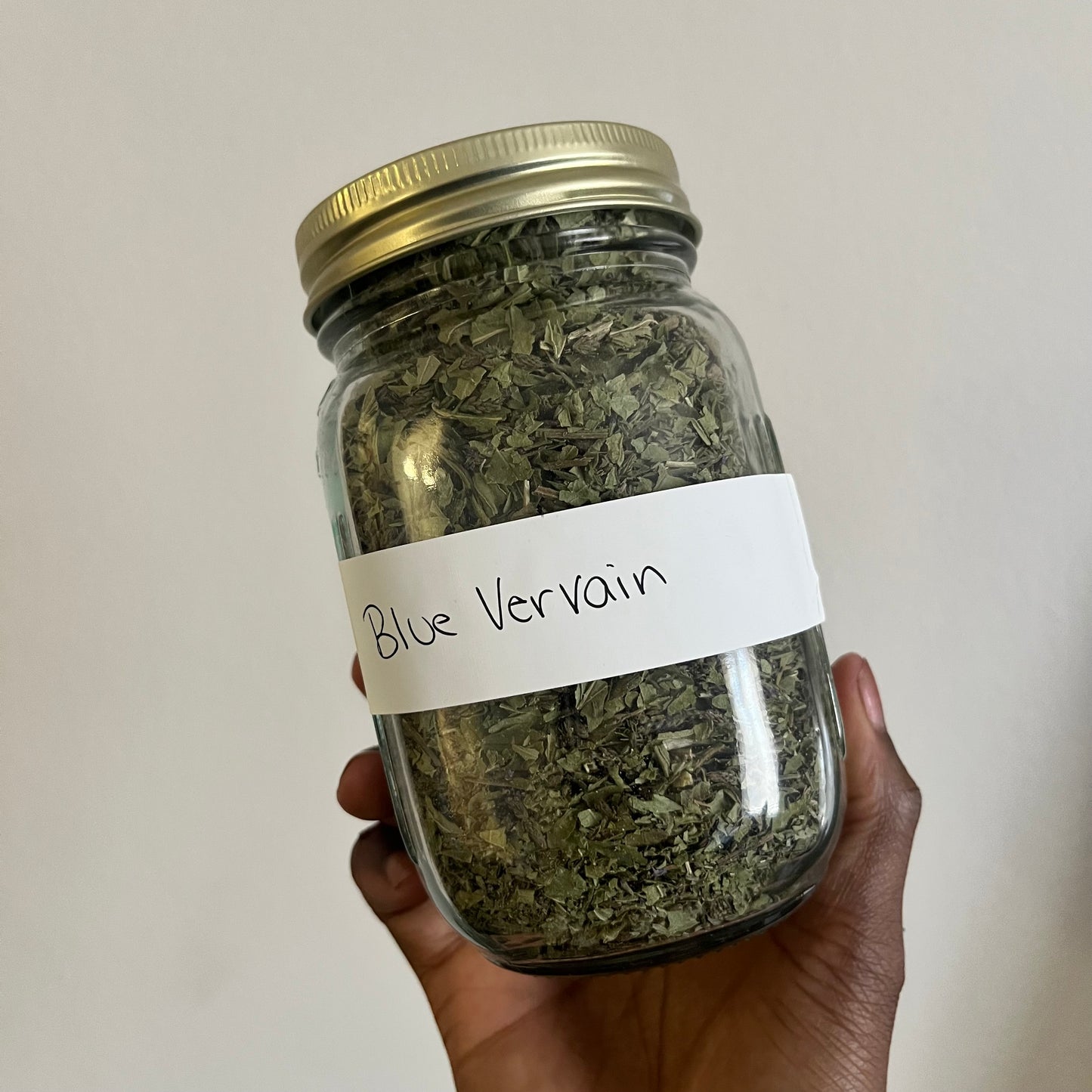 Blue Vervain | bulk herb
