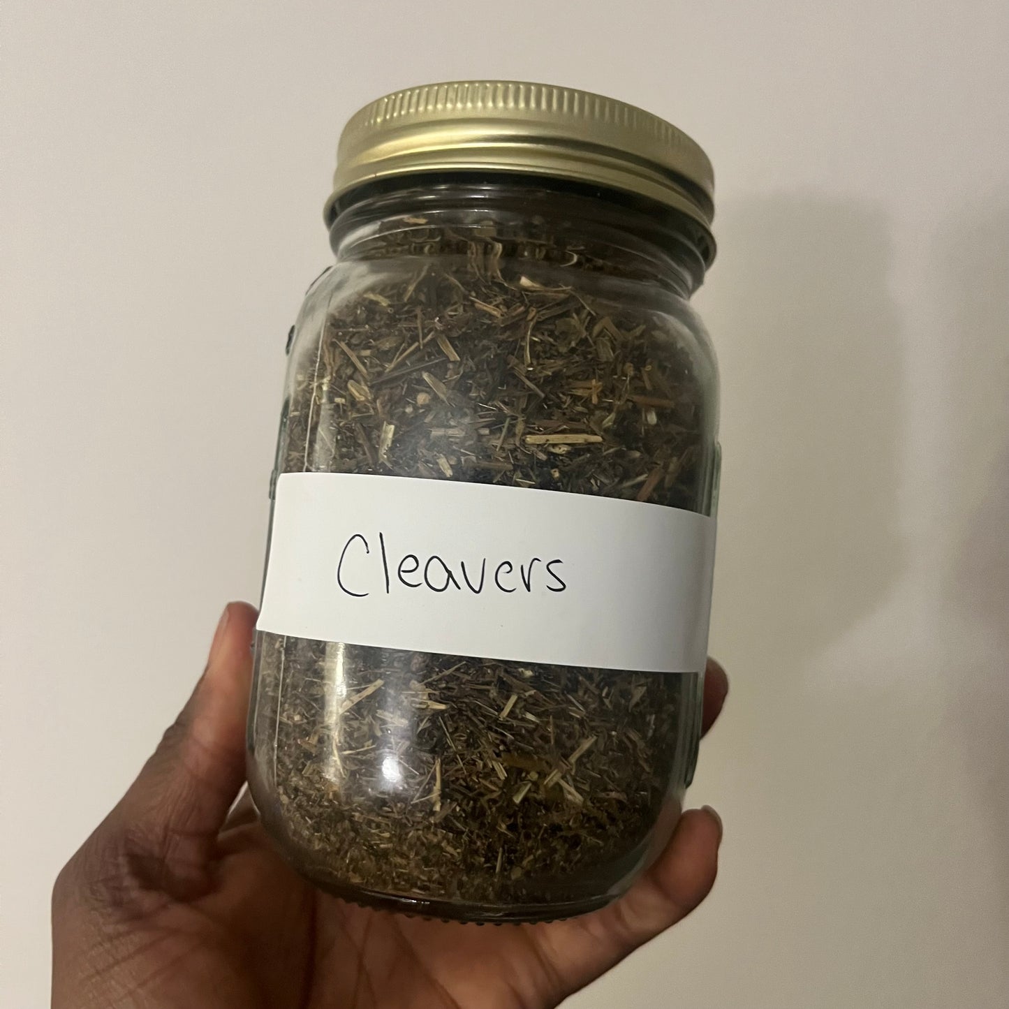 Cleavers | bulk herb