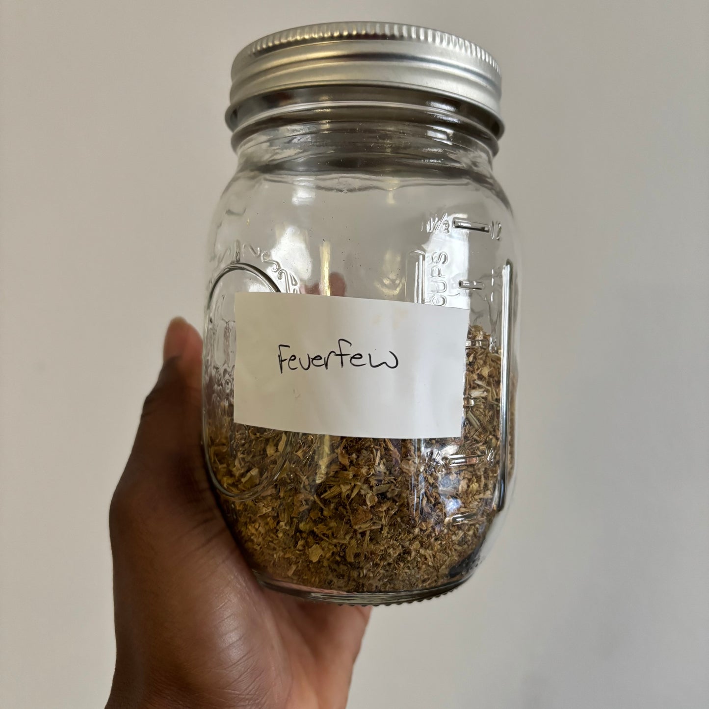Feverfew | bulk herb