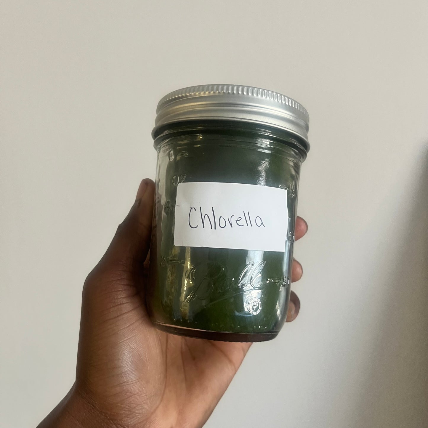 Chlorella powder | bulk herb