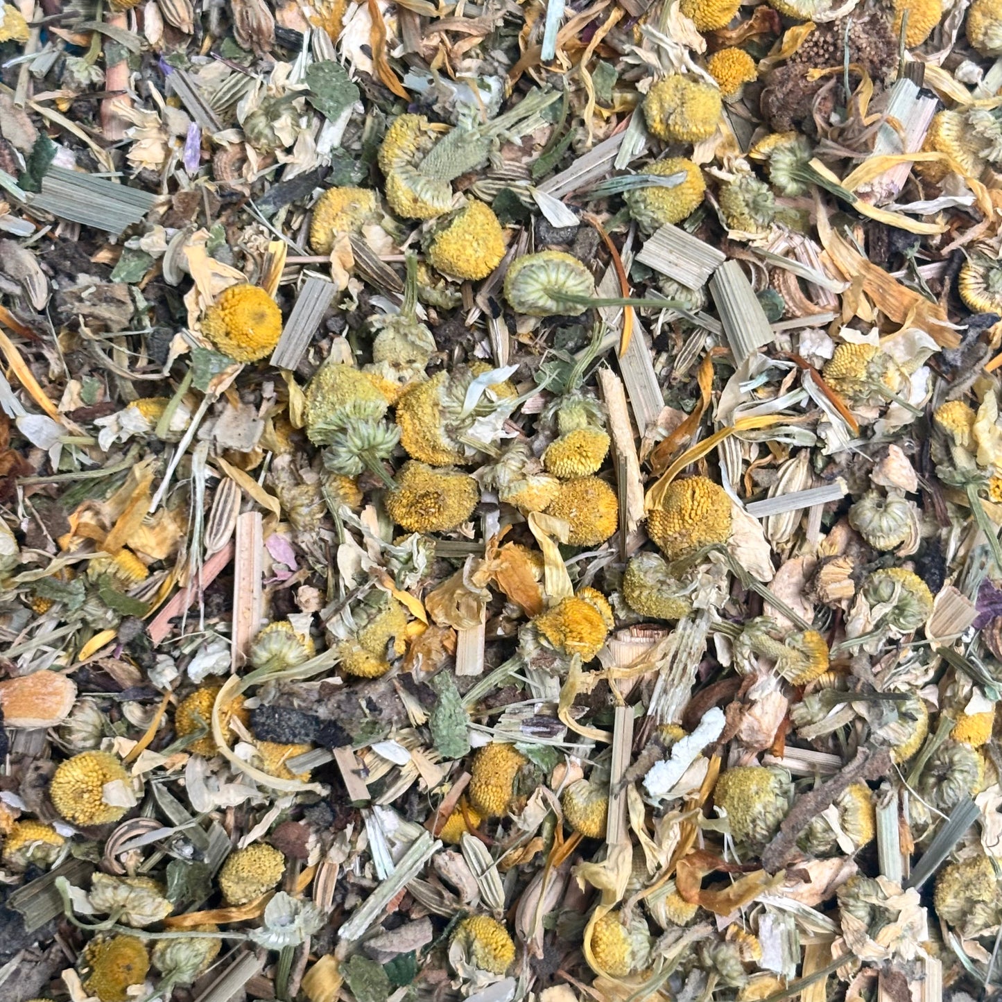 Little Lungs | Herbal Tea Blend