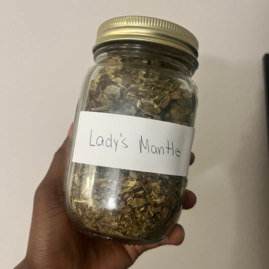 Lady’s Mantle | bulk herb