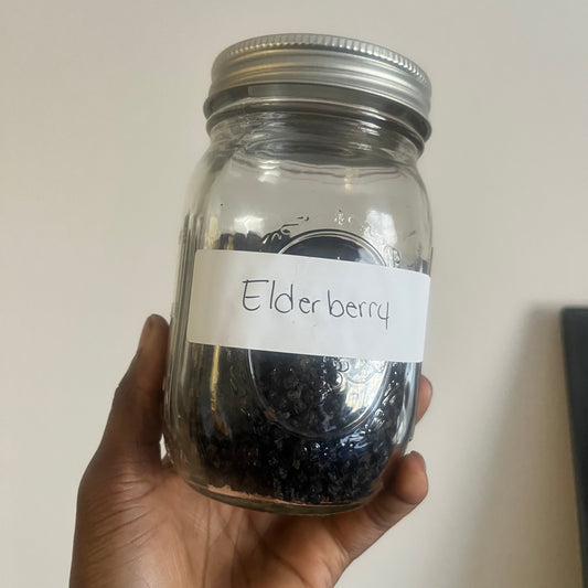Elderberry | bulk herb