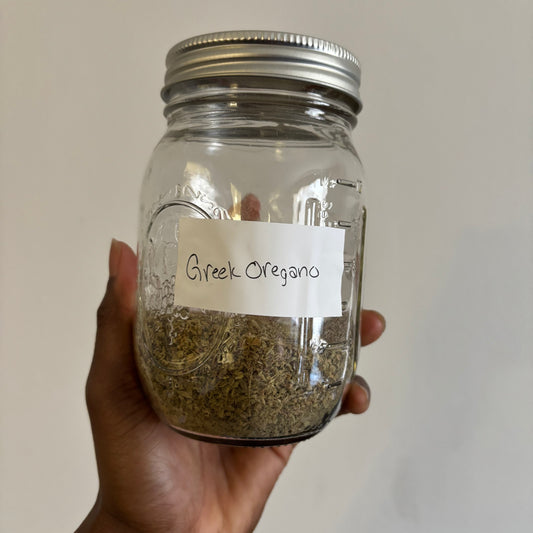 Greek Oregano | bulk herb