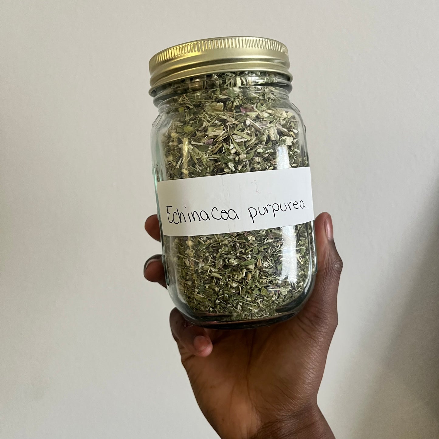 Echinacea Purpurea | bulk herb