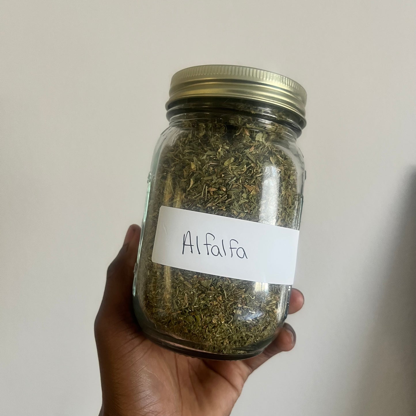 Alfalfa Leaf | bulk herb