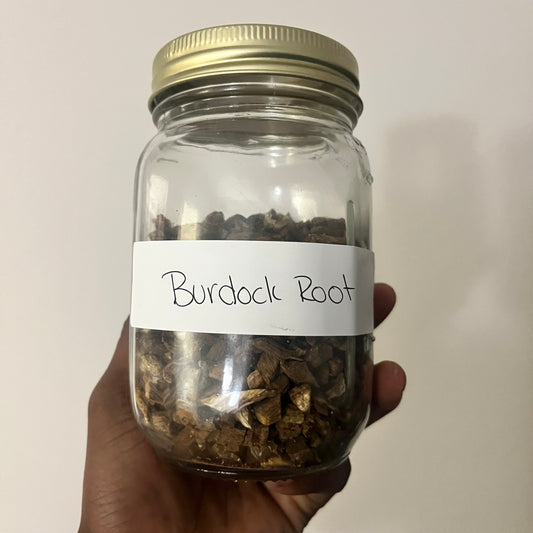 Burdock Root | bulk herb