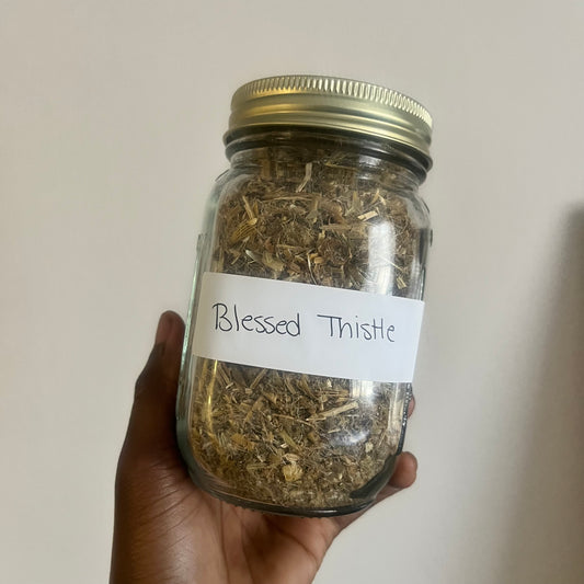Blessed Thistle | bulk herb