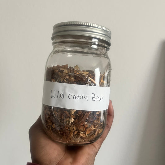 Wild Cherry Bark | bulk herb