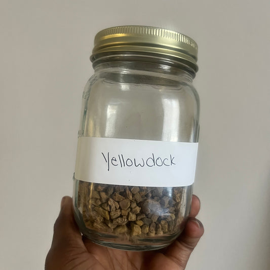 Yellow Dock | bulk herb