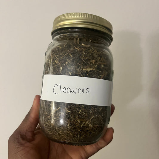 Cleavers | bulk herb