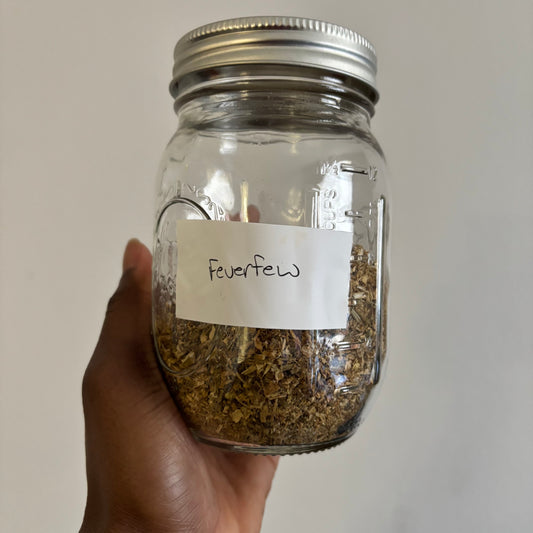 Feverfew | bulk herb