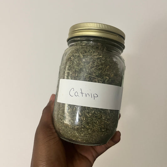 Catnip | bulk herb