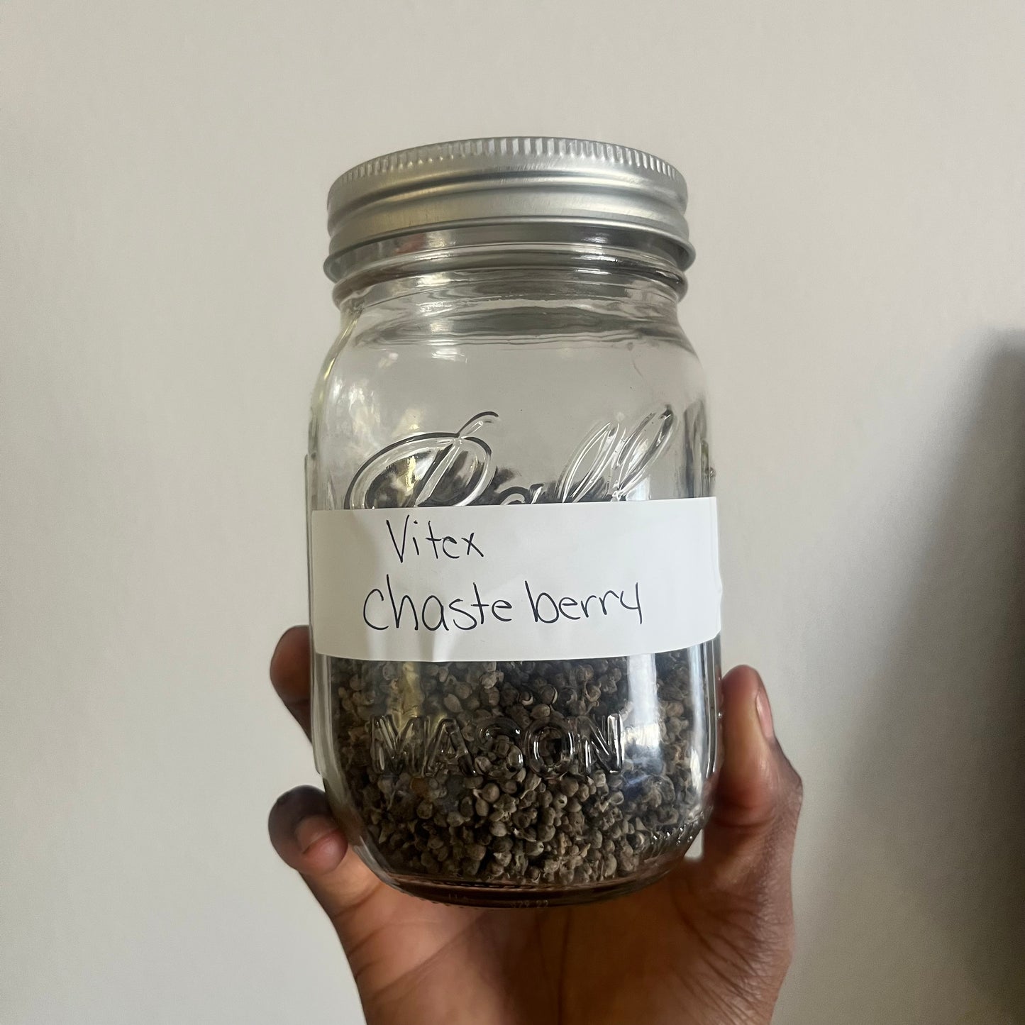 Chasteberry (Vitex) | bulk herb