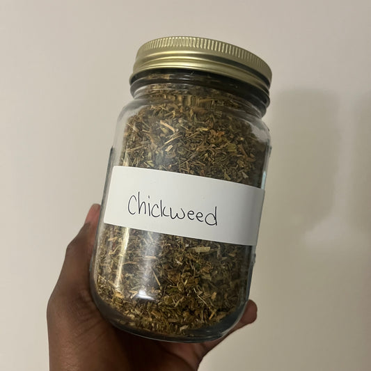 Chickweed | bulk herb