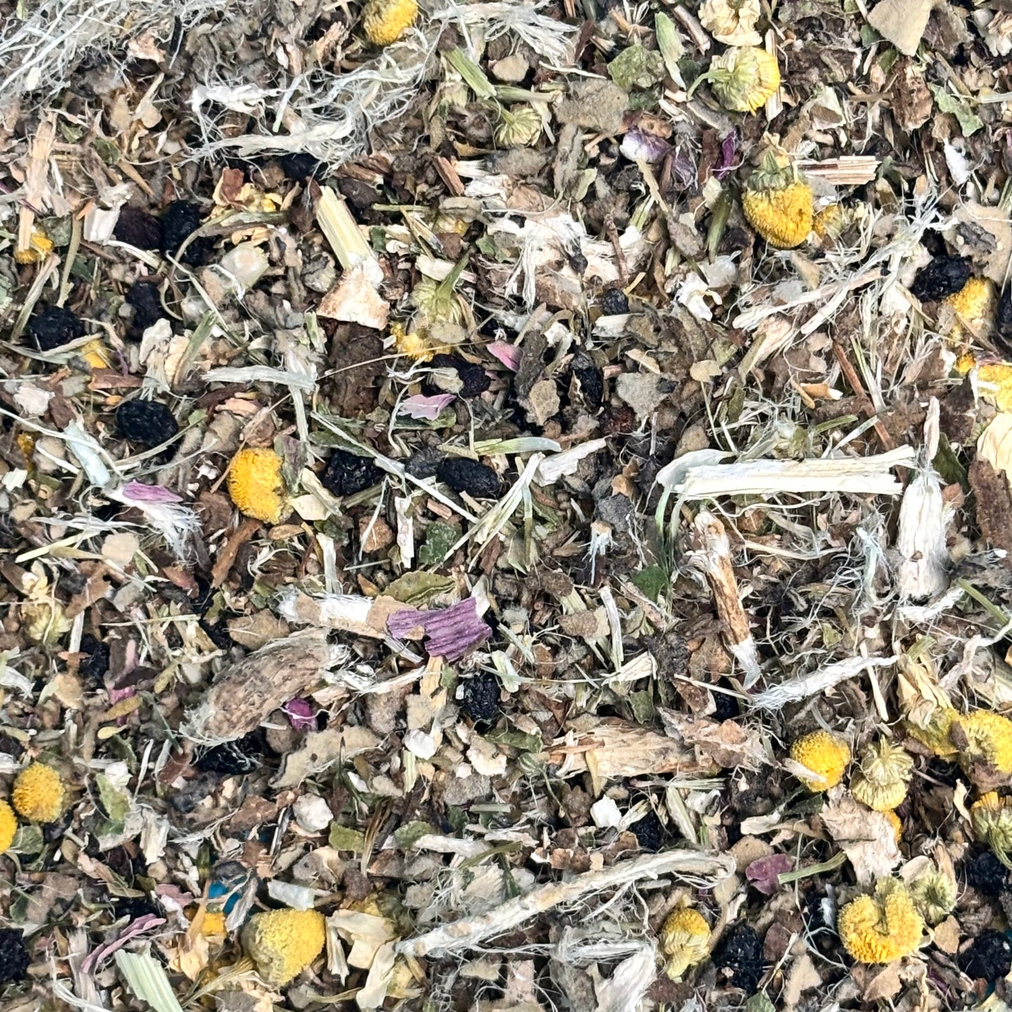 Cough Syrup Herbal Blend Kit